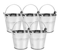 NUSITOU Decorative Iron Flower Buckets 5Pcs Silver Tin Planters with Handle for Home Office Floral Display and Craft Use