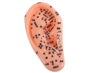 NUSITOU Ear Model Fake Remover PVC Visual Aid with Engraved Chinese Labels for Educational Purposes in Chinese Medicine Schools and Clinical Practice