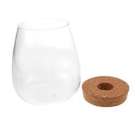 NUSITOU Ecological Hydroponic Glass Bottle with View for Microlandscape and Plant Propagation for Desktop and Indoor Decoration