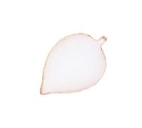 NUSITOU Manicure Nail Art Color Display Plate for Mixing Pigments White Resin Leaf Shaped and Displaying Finished Nail Works, for Painting and Manicure Use