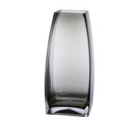 NUSITOU Modern Nordic Glass Vase Decorative Flower Vase with Storage Feature Simple Style Suitable for Home and Office Décor for Fresh Floral Arrangements