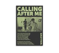 NUSLNG Wallows Calling After Me Poster Decorative Canvas Poster Wall Art Decor Living Modern Family Bedroom Decoration Posters 20x30inch(50x75cm) Unframe-style