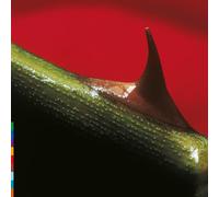 Nusrat Fateh Ali Khan and Michael Brook Night Song LP Vinyl LPRW50 NEW