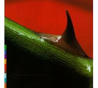 Nusrat Fateh Ali Khan - Night Song