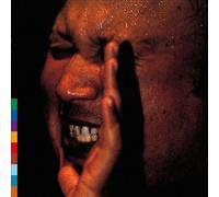 Nusrat Fateh Ali Khan - Shahbaaz [VINYL]