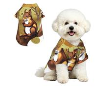 Nut-eating squirrel Breathable Hawaiian Dog Shirt Summer Button Up Top for Small Medium Dogs S