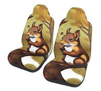 Nut-Eating Squirrel Dua Sarung JOK Mobil,& Sarung JOK Mobil Depan, Cocok Untuk Sebagian Besar Mobil, SUV, Truk, Van, Dll.