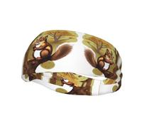 Nut-eating squirrel Moisture Wicking Workout Headband, Sweatband Headbands for Running,Cycling,Football,Yoga,Hairband for Women and Men