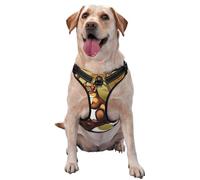 Nut-Eating Squirrel X-Large Printed pet Traction Vest for Pets to wear When Walking The Dog or Climbing Mountains