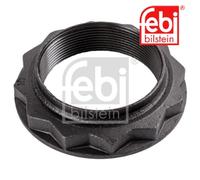 Nut, kingpin FEBI BILSTEIN 46180 For IVECO