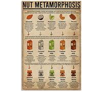 Nut Metamorphosis Posters Popular Science Guide Knowledge Metal Signs Room Club Decor Wall Decor Retro Plaque_8"x12"