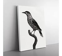 Nutcracker Bird By Jacques Barraband Vintage Canvas Wall Art Print Ready to Hang, Framed Picture for Living Room Bedroom Home Office Décor, 76x50 cm (30x20 Inch)