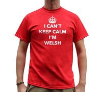 Nutees I Can't Keep Calm I'm Welsh, Wales Funny Mens T Shirt - Red Large