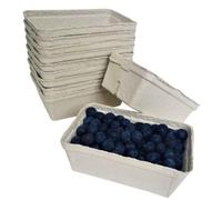 Nutley's Biodegradable fibre Fruit Punnets 75 Pack (250g) - Eco-Friendly & Durable for Transport, Storage, Retail & Household Use