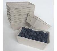 Nutley's Biodegradeable Fibre Fruit Punnets (250, 250g)