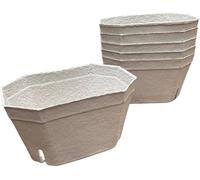 Nutley's Kitchen Gardens Click To See Full View Nutley's Large Biodegradable Fibre Fruit Punnets, 1000G - Large Capacity, Pack Of 100