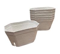 Nutley's Kitchen Gardens Nutley's Biodegradable Fibre Fruit Produce Punnet Trays Compostable Sustainable Eco-Friendly Retail 1000G - Pack Of 150