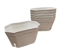 Nutley's Large Biodegradable Fibre Fruit Punnets, 1000g - Large Capacity, Eco-Friendly & Durable for Transport, Storage, Retail & Household Use, Compostable (500)