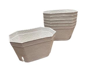Nutley's Large Biodegradable Fibre Fruit Punnets, 1000g - Large Capacity, Eco-Friendly & Durable for Transport, Storage, Retail & Household Use, Compostable (250)
