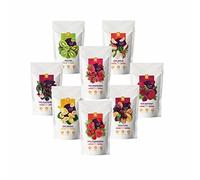 NutriBoom Freeze Dried Snack Box with Freeze-Dried Fruits, Berries and Vegetables, 8 Packs x 500 ml - Healthy Freeze-Dried Snacks