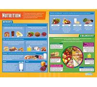 Nutrition | Child Development Posters | Laminated Gloss Paper measuring 850mm x 594mm (A1) | Child Care Class Posters | Education Charts by Daydream Education