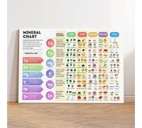 Nutrition Pro Bundle All in One Healthy Eating Reference Guide Chart Poster Art Print Vitamins Minerals Proteins Nutrients Health Food Chart Wall Art Decor For Kitchen Bedroom Living Room