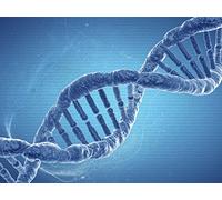 Nutritional Needs and Cellular Function