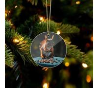Nuts and Squirrels Christmas Ornaments - Acrylic Christmas Pendant Circular Xmas Tree Ornament with Hanging String, Personalized Vintage Holiday Party Decorations for Xmas Gifts