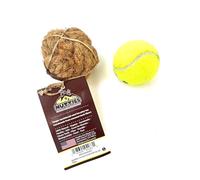 Nutties coconut husk ball toy for dogs and cats Magic Toothbrush (Small)