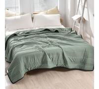 NuvoDreams Cooling Blanket Queen, NuvoDreams Silk Cooling Blanket, Solid Color Full Size Thin Summer Comforters Ice Silk Quilt, Breathable Lightweight Smooth, for Hot Sleepers (Green,70 * 87in)