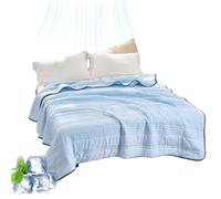 Nuvodreams Silk Cooling Blanket, 100% Cool Ice Silk Cooling Blanket for Hot Flashes, Double Side Breathable Summer Bedding for Hot Sleepers Must Haves, Lightweight, King Size (Light Blue,Queen)