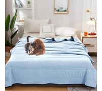 Nuvodreams Silk Cooling Blanket Queen Size,Nuvodreams Cooling Blanket Queen,Nuvo Dreams Blankets for Hot Sleepers & Night Sweats,Ultra Lightweight Summer Bedding (Light Blue,180 * 220cm/71 * 87in)