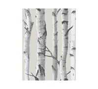 Nu Wallpaper Birch Tree 52.07cm x 5.49m Self-adhesive Wallpaper, Grey