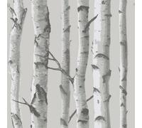 Nuwallpaper Nu1694 Mountain Birch Peel & Stick Wallpaper, Grey