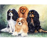 NUWCECK Paint by Numbers Kit Cavalier King Charles Spaniel Dog with Brushes and Acrylic Pigment DIY Canvas Painting for Adults Beginner Still Life