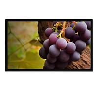 Nuxyyds Digital LED Wall Mounted Billboard for Playing Videos/Images, Remote Release/USB Release, Landscape/Portrait, Digital Advertising Display Screen for Menu/Promotion Display 21.5"