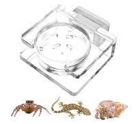 Nuyhadds Jumping Spider Feeding Dish | Magnetic Reptile Water Dish,Acrylic Jumping Spider Feeder for Bearded Dragon Lizard Frog Gecko Tortoise Hermit Crab