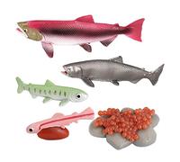 NUZKQLHZ Realistic Animals Life Cycle Model Toy Growth Cycle Children Toys Salmon