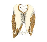 Nuzzling Barn Owls Men's T-Shirt - White - M