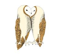 Nuzzling Barn Owls Women's T-Shirt - White - M - White