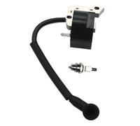 NVDERTA Ignition Coil Compatible With MTD 280r 310BVr 320BVR 700r 700rVP 704r 704rVP 705r 725r 765r 767rJ 775r RGBV3100 MT700 MT705 MT725