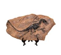 NVOQILIN Realistic Dinosaur Skeleton Fossils Resins Statue Figurine Ornament for Desktop Book Shelf Display and Collection
