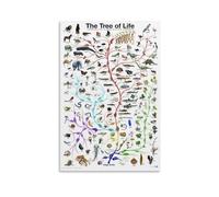 NVTTYIA The Tree of Life Poster Educational Wall Art Print Evolutionary Biology Chart Nature And Science Decor Origin of Life Illustration Animal And Plant Diversity Gift 08x12inch Unframed