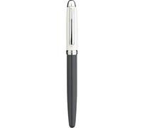 NVVVNX Youth Bright Face Color Pen Metal Sharp Pointed Adult Student Calligraphy Practice Pen Ink Pen Fountain Pen(Grey,0.5)