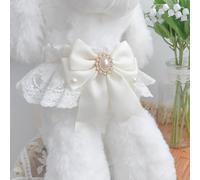Nvzi 1 Piece Elegant Lace Cat Collar with Cute Bow Stylish Pet Accessory,M Size,White