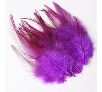Nvzi 100-Pcs 3-5.9 Inch Craft Feathers, Bulk Plumes for Dream Catchers, DIY Projects, Wedding & Party Decor，Dark Purple