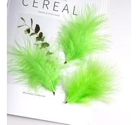 Nvzi 100-Pcs 3.9-4.7 Inch Fluffy Craft Feathers, Artificial Plumes for Dream Catchers & DIY Decor，Light Green