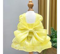 Nvzi-b Sweet Puppy Dog Dress,Cute Princess Cat Dresses Dog Skirt for Small Girl Dogs(A176,XXL)