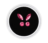 Nvzi Tooth treasure crystal jewelry various shapes of colored tooth jewelry, acrylic tooth decoration set gemstone (rose color)