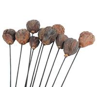 NWFashion 10PCS Artificial Dried Brwon Lotus Pods with Stems (3-5CM) …